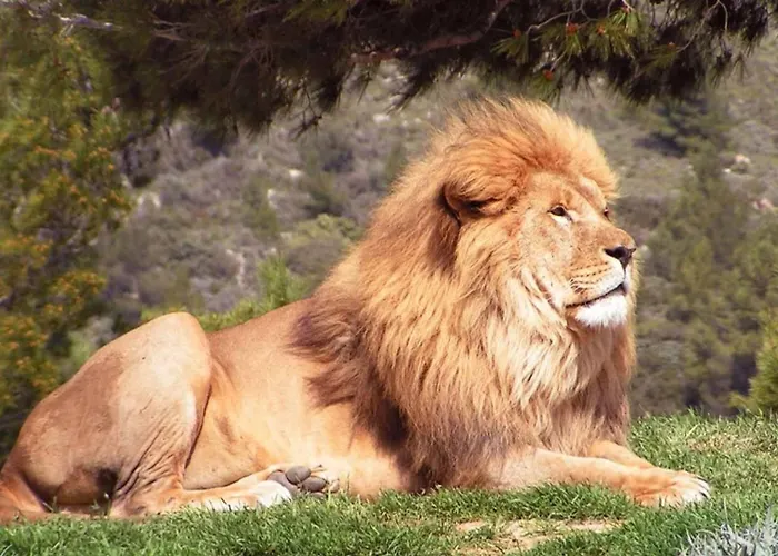 Hébergement de vacances Maison à Sigean